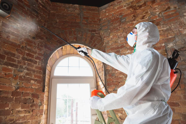 Best Environmental Consulting for Mold Prevention  in Frankfort, KY